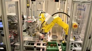 Fully Automatic Flexible Bottling System by Inventek Engineering