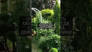 Арки в садах  #современныйсад #малоуходныйсад