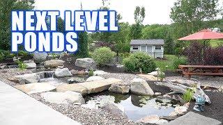 ZEN PONDS WITH BEAUTIFUL KOI AND GOLDFISH: Greg Wittstock, The Pond Guy