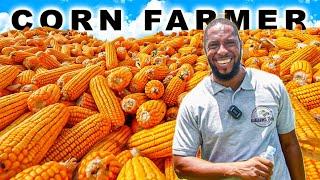 He Left the UK  to invest Sheep Breading & Now Farming Maize 