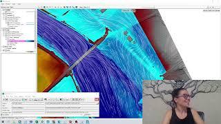 Chapter 8  HEC RAS 2D Bridge tutorial