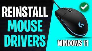 How to Reinstall Mouse Drivers in Windows 11 Laptop or PC (2024)