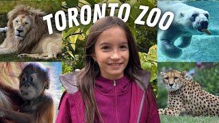 Toronto Zoo Tour 2023 | Walkthrough Tour of the Toronto Zoo