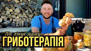 Білих Грибів стає більше!!! Грибна Медитація.