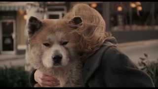 Hachi's Final Journey