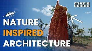 How Does Nature Inspire Architecture?