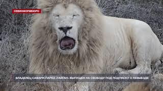 Владелец сафари-парка «Тайган» выпущен на свободу под подписку о невыезде