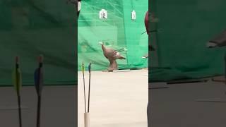  Arrows Coming in Hot! #archery