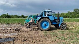 ДИСКОВКА на 20смРозстеляємо плівку Для ПОМІДОРІВ Новий бізнес? Перший дощ за 2 місяці