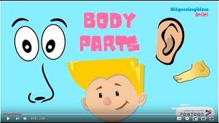 2.sınıf ingilizce 7.ünite(BODY PARTS)