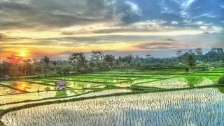 Bali best sunset