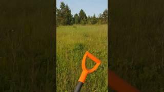Приехали на коп #деревня #md #металлоискатель #металлопоиск #коп