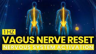 Activate Your Parasympathetic Nervous System Vagus Nerve Healing Frequency