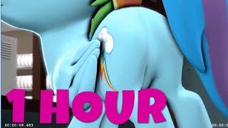 Rainbowdash Butt Dance 1 Hour