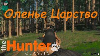 theHunter Classic. Миссии в Redfeather Falls.