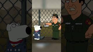 СТЬЮИ И БРАЙАН в КИТАЕ #shorts #гриффины #familyguy #recommended #шортс