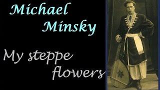 Michael Minsky,  5/5.  My bellflowers, my steppe flowers