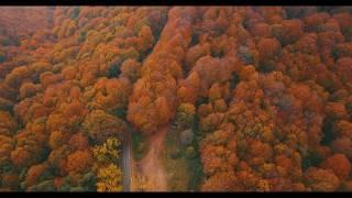 Autumn colours of Georgia 