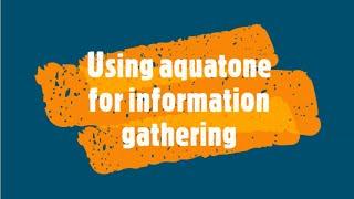 How To Use Aquatone For Information Gathering About A Target?