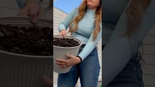 Plant video update…