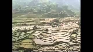 Ban H'mong Vietnam