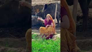 Sara kaam  #renuchaudhary #funny #villagelife #comedy #renuchaudhary