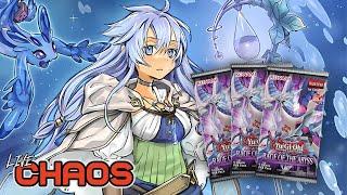 Yu-Gi-Oh! Rage Of The Abyss | LIVE OPENING