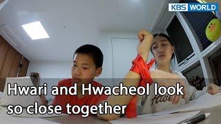 Hwari and Hwacheol look so close together (Mr. House Husband EP.251-7) | KBS WORLD TV 220422