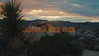 Joshua Tree | Cinematic video | Sony a7siii