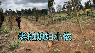 老挝媳妇小依
