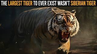 The Largest Tiger To Ever Exist Wasn't Siberian Tiger