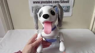 Unboxing Zoomer Playful Pup