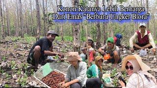 Blusukan Pedalaman Hutan Demi "Ungker Jati Khas Blora" Kuliner Paling Enak Sakdunia Benarkah??