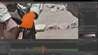 DIAMANT-Film Colorizer: Using tools in the Colorizer