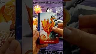 Universal Dragon Oracle (Quick Flip Through)
