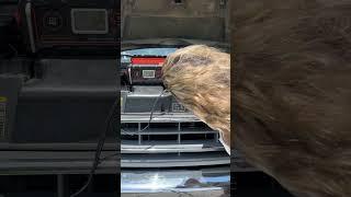 ROAD TRIP TRAVEL HACK: FOR YOUR CAR BATTERY WHEN IT GOES SAD