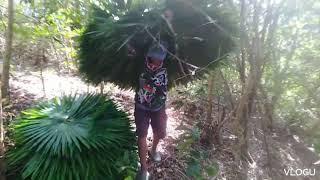 Gawa tayo ng bahay kubo | Day 3