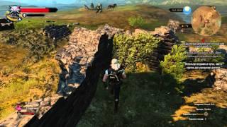 Witcher 3, Отличные доспех, штаны, сапоги, печатки школы Кота