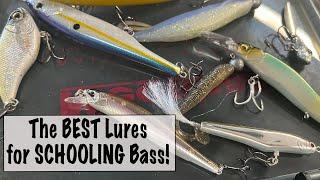 The BEST Lures for SCHOOLING Bass!