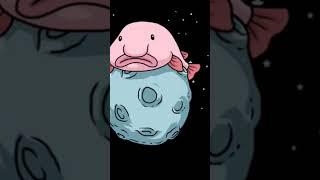 The Blobfish compilation.