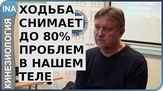 Правильная ходьба решает до 80% всех проблем в нашем теле. Кинезиология. Германия