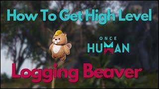 Once Human - How To Get High Level Logging Beaver