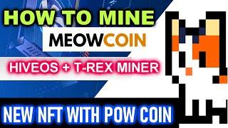 How to Mine Meow Coin in Hiveos using T-Rex Miner