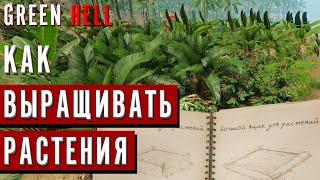 Как ВЫРАЩИВАТЬ РАСТЕНИЯ в GREEN HELL | Гайд