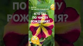 Люди искусства,  красоты... Кто ты по числу рождения   Эзотерика Нумерология Гороскоп Знаки Зодиака