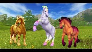 Star stable |ПОКУПКА лошади| |Юрвикская дикая лошадь!|