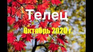 Телец. Таро-прогноз на Октябрь 2020 года.