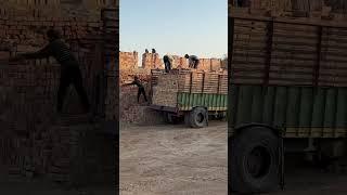 MB bricks 5000 INT
