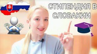 стипендия для студентов в Словакии: не упусти свой шанс | ЖИЗНЬ И УЧЁБА В СЛОВАКИИ вся правда 