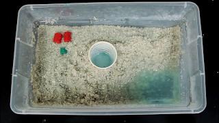 Shoebox Groundwater Model